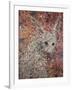 Wild Hare-James W. Johnson-Framed Giclee Print