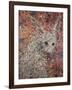 Wild Hare-James W. Johnson-Framed Giclee Print