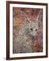 Wild Hare-James W. Johnson-Framed Giclee Print