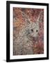 Wild Hare-James W. Johnson-Framed Giclee Print