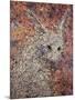 Wild Hare-James W. Johnson-Mounted Giclee Print