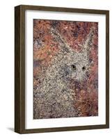 Wild Hare-James W. Johnson-Framed Giclee Print