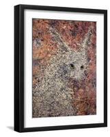 Wild Hare-James W. Johnson-Framed Giclee Print