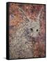 Wild Hare-James W. Johnson-Framed Stretched Canvas