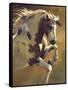 Wild Heart-Carolyne Hawley-Framed Stretched Canvas