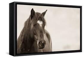 Wild Hearts-KaCee Erle-Framed Stretched Canvas