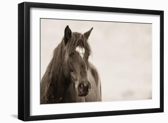 Wild Hearts-KaCee Erle-Framed Art Print