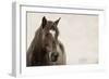 Wild Hearts-KaCee Erle-Framed Art Print