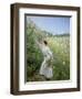 Wild Honeysuckle-Pierre Andre Brouillet-Framed Premium Giclee Print