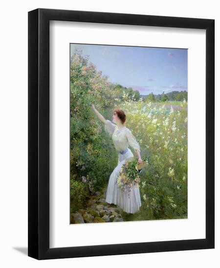 Wild Honeysuckle-Pierre Andre Brouillet-Framed Premium Giclee Print