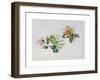 Wild Honeysuckles, 1999-Rebecca John-Framed Giclee Print