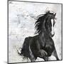 Wild Horse 1-Design Fabrikken-Mounted Art Print