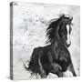 Wild Horse 1-Design Fabrikken-Stretched Canvas