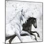 Wild Horse 2-Design Fabrikken-Mounted Art Print