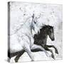 Wild Horse 2-Design Fabrikken-Stretched Canvas