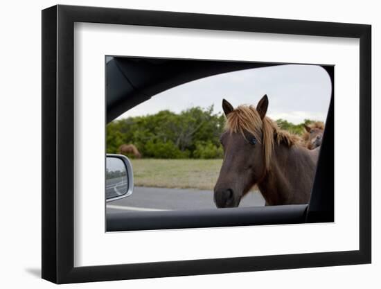 Wild Horse at Car Window-Paul Souders-Framed Photographic Print