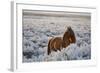 Wild Horse at Mono Lake-null-Framed Photographic Print