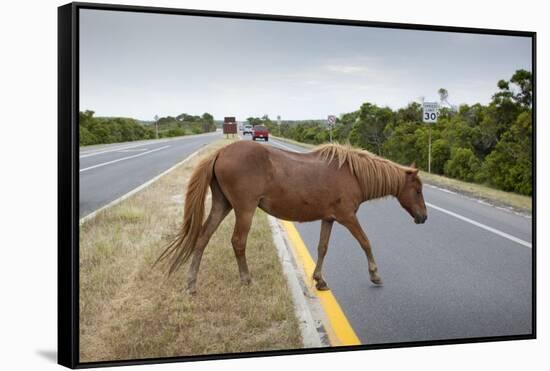 Wild Horse Crossing Road-Paul Souders-Framed Stretched Canvas