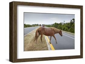 Wild Horse Crossing Road-Paul Souders-Framed Photographic Print