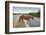 Wild Horse Crossing Road-Paul Souders-Framed Photographic Print