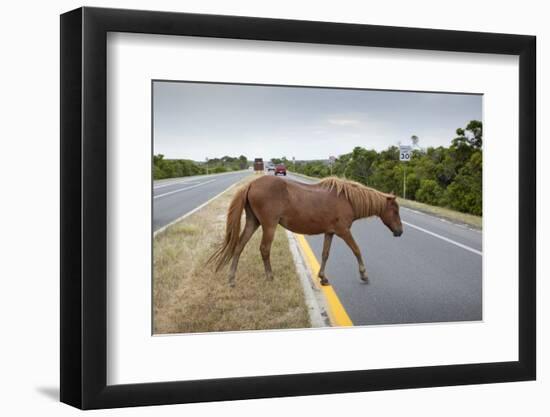 Wild Horse Crossing Road-Paul Souders-Framed Photographic Print