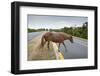 Wild Horse Crossing Road-Paul Souders-Framed Photographic Print