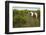 Wild Horse Eating Grass-Paul Souders-Framed Photographic Print