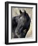 Wild Horse (Equus Caballus), Theodore Roosevelt National Park, North Dakota, United States of Ameri-James Hager-Framed Photographic Print