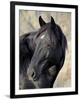 Wild Horse (Equus Caballus), Theodore Roosevelt National Park, North Dakota, United States of Ameri-James Hager-Framed Photographic Print