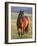Wild Horse in Theodore Roosevelt National Park, North Dakota, Usa-Chuck Haney-Framed Photographic Print