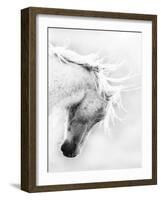 Wild Horse / Mustang Shaking Head and Mane, Adobe Town Herd Area, Southwestern Wyoming, Usa-Carol Walker-Framed Photographic Print