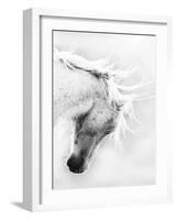 Wild Horse / Mustang Shaking Head and Mane, Adobe Town Herd Area, Southwestern Wyoming, Usa-Carol Walker-Framed Photographic Print