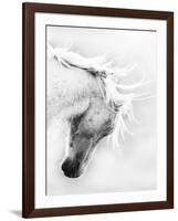 Wild Horse / Mustang Shaking Head and Mane, Adobe Town Herd Area, Southwestern Wyoming, Usa-Carol Walker-Framed Photographic Print