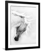 Wild Horse / Mustang Shaking Head and Mane, Adobe Town Herd Area, Southwestern Wyoming, Usa-Carol Walker-Framed Photographic Print