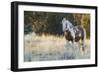 Wild Horse, Steens Mountains-Ken Archer-Framed Photographic Print