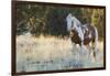 Wild Horse, Steens Mountains-Ken Archer-Framed Photographic Print