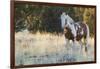 Wild Horse, Steens Mountains-Ken Archer-Framed Photographic Print