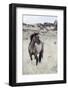 Wild Horse, Steens Mountains-Ken Archer-Framed Photographic Print