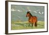 Wild Horse-null-Framed Photographic Print