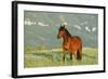 Wild Horse-null-Framed Photographic Print