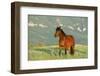 Wild Horse-null-Framed Photographic Print