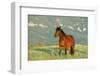 Wild Horse-null-Framed Photographic Print