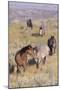 Wild Horses 13-Gordon Semmens-Mounted Photographic Print