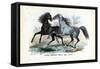 Wild Horses, 1863-79-Raimundo Petraroja-Framed Stretched Canvas