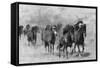 Wild Horses 2-Ata Alishahi-Framed Stretched Canvas