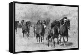 Wild Horses 2-Ata Alishahi-Framed Stretched Canvas