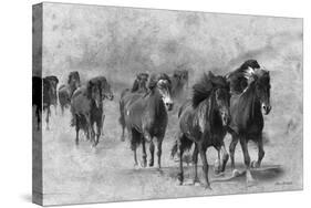 Wild Horses 2-Ata Alishahi-Stretched Canvas