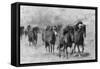 Wild Horses 2-Ata Alishahi-Framed Stretched Canvas