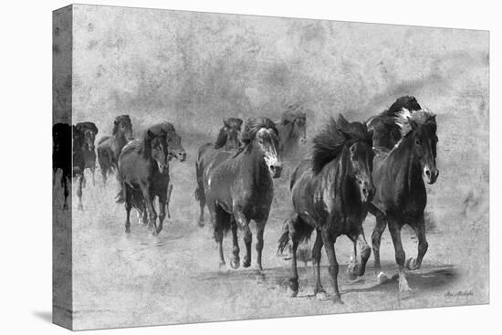 Wild Horses 2-Ata Alishahi-Stretched Canvas