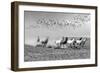 Wild Horses 2M-Ata Alishahi-Framed Giclee Print